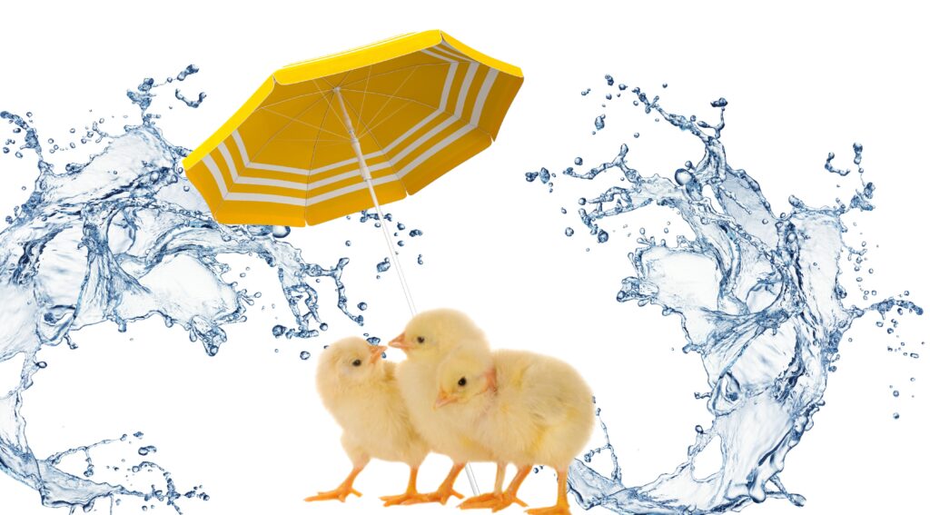 hydrofresh visuel web