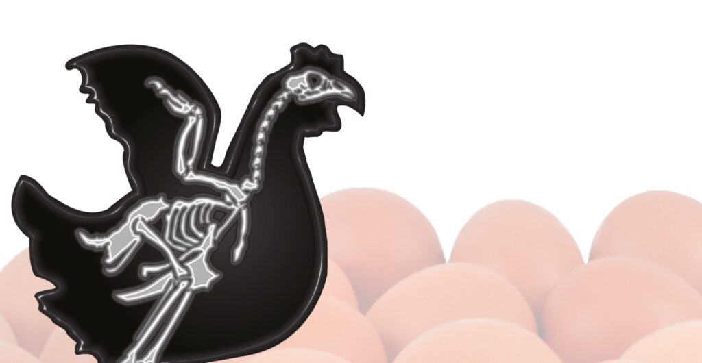 visuel web adnicalphos (1)